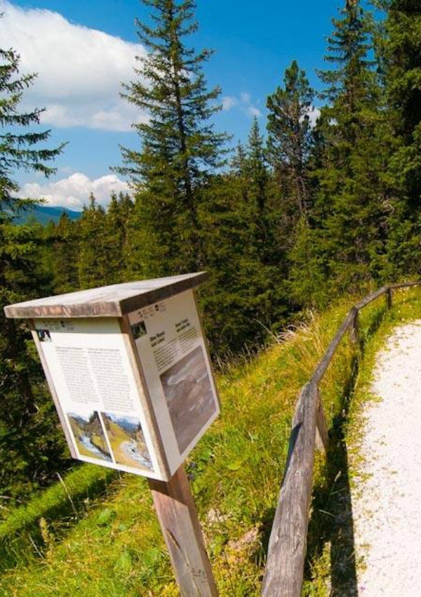 Alternative route nature discovery trail