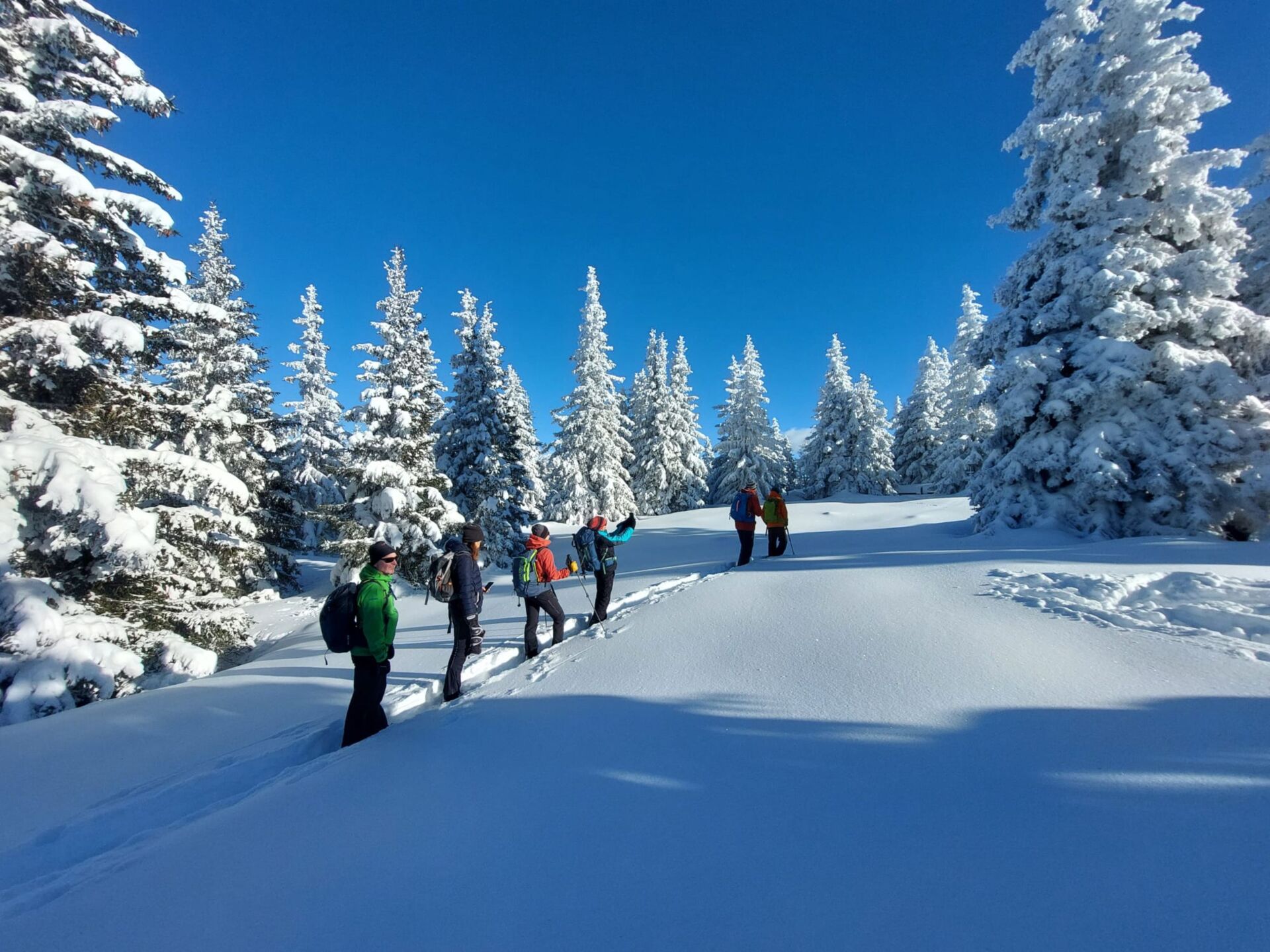 Snowshoe hike on the Seefeld plateau