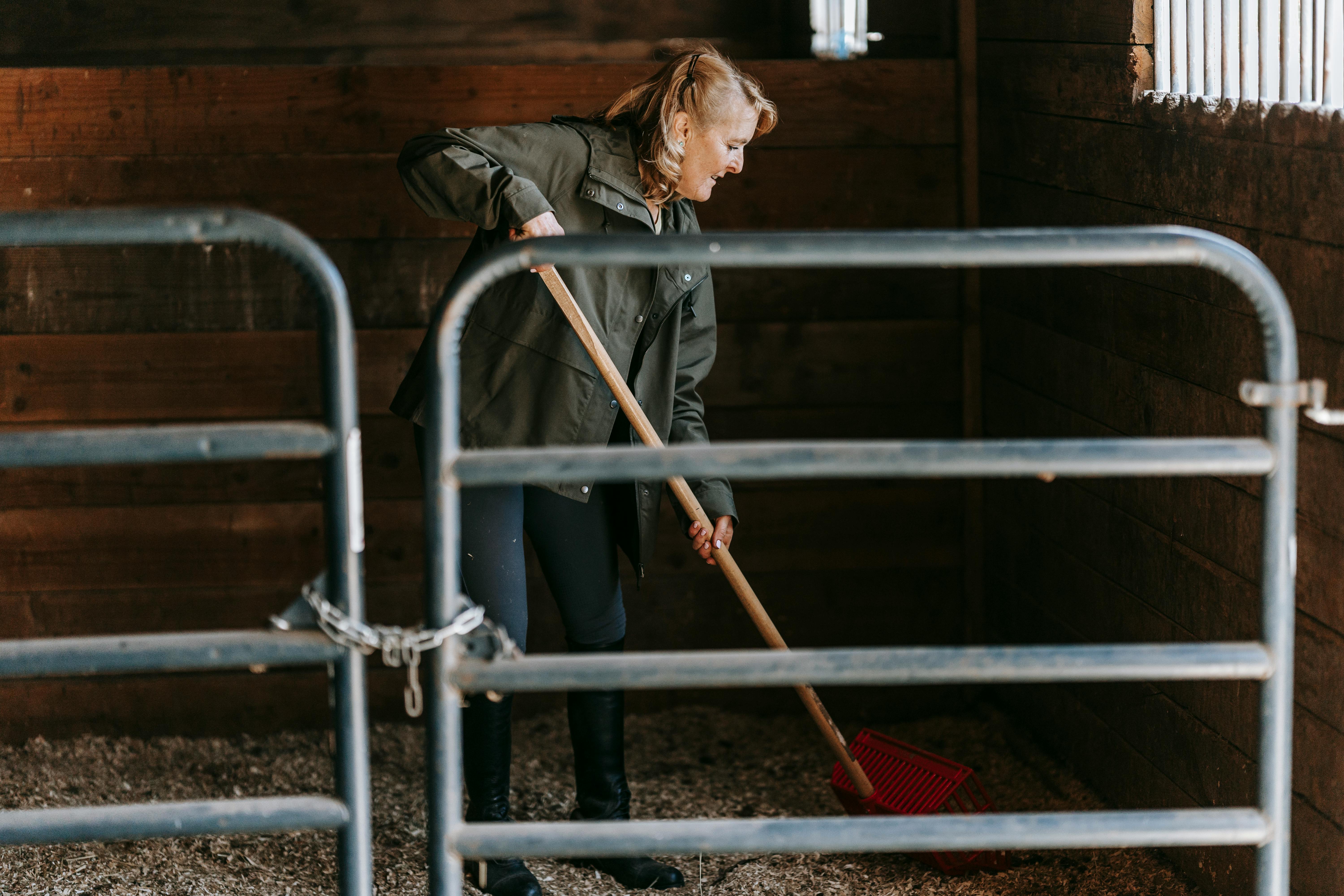 Ein Tag im Stall: Stallarbeit hautnah erleben