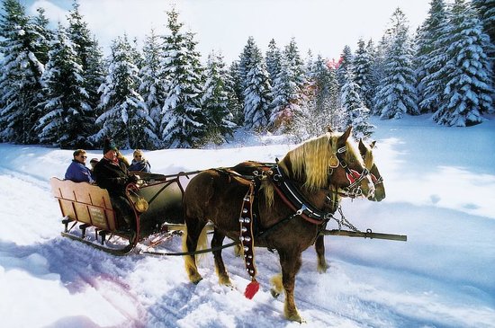 Kutschenfahrten