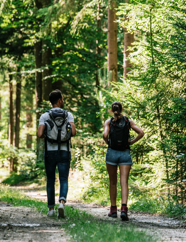 Vacation in nature - At the Wartner