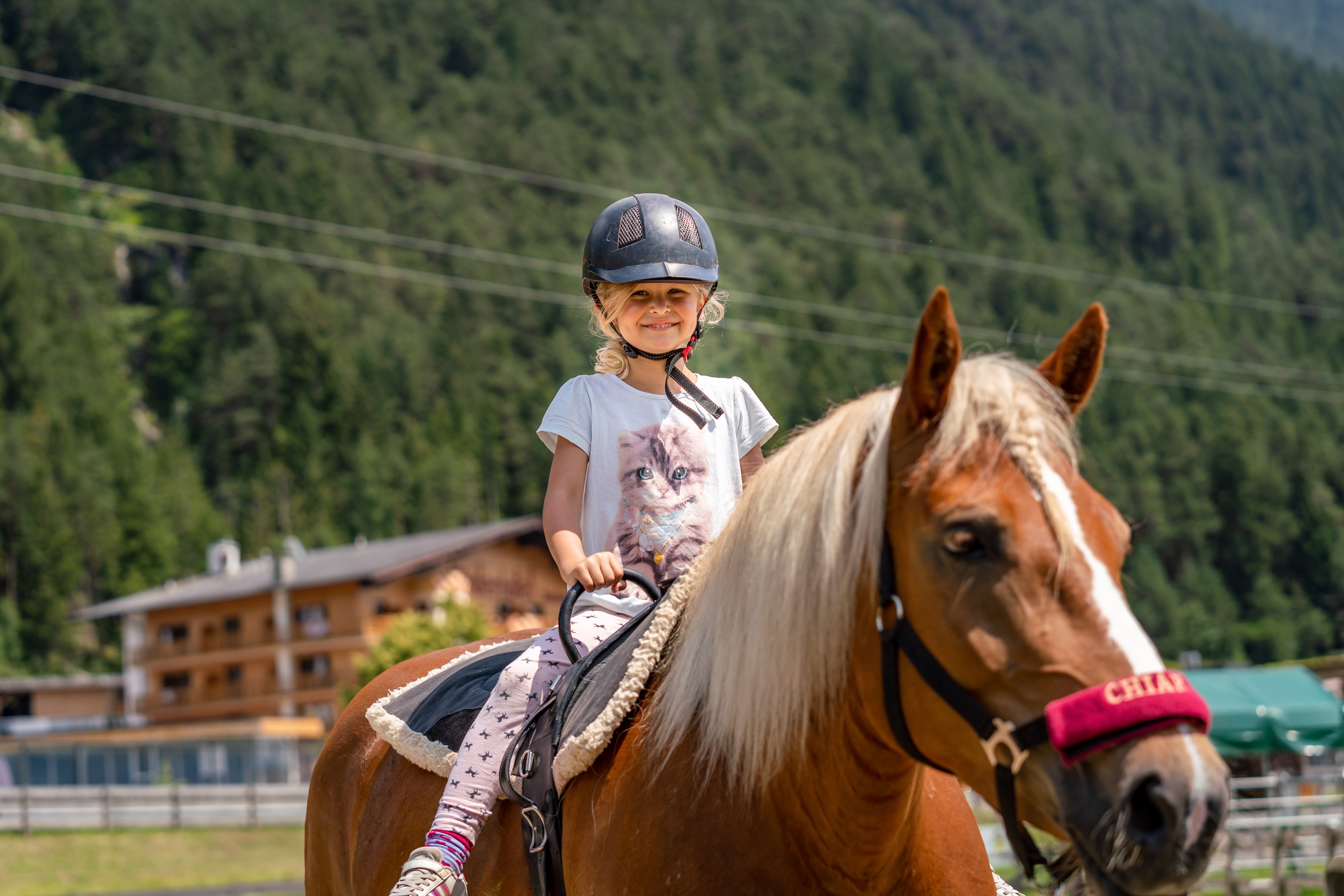Dein Tag am Ponyhof