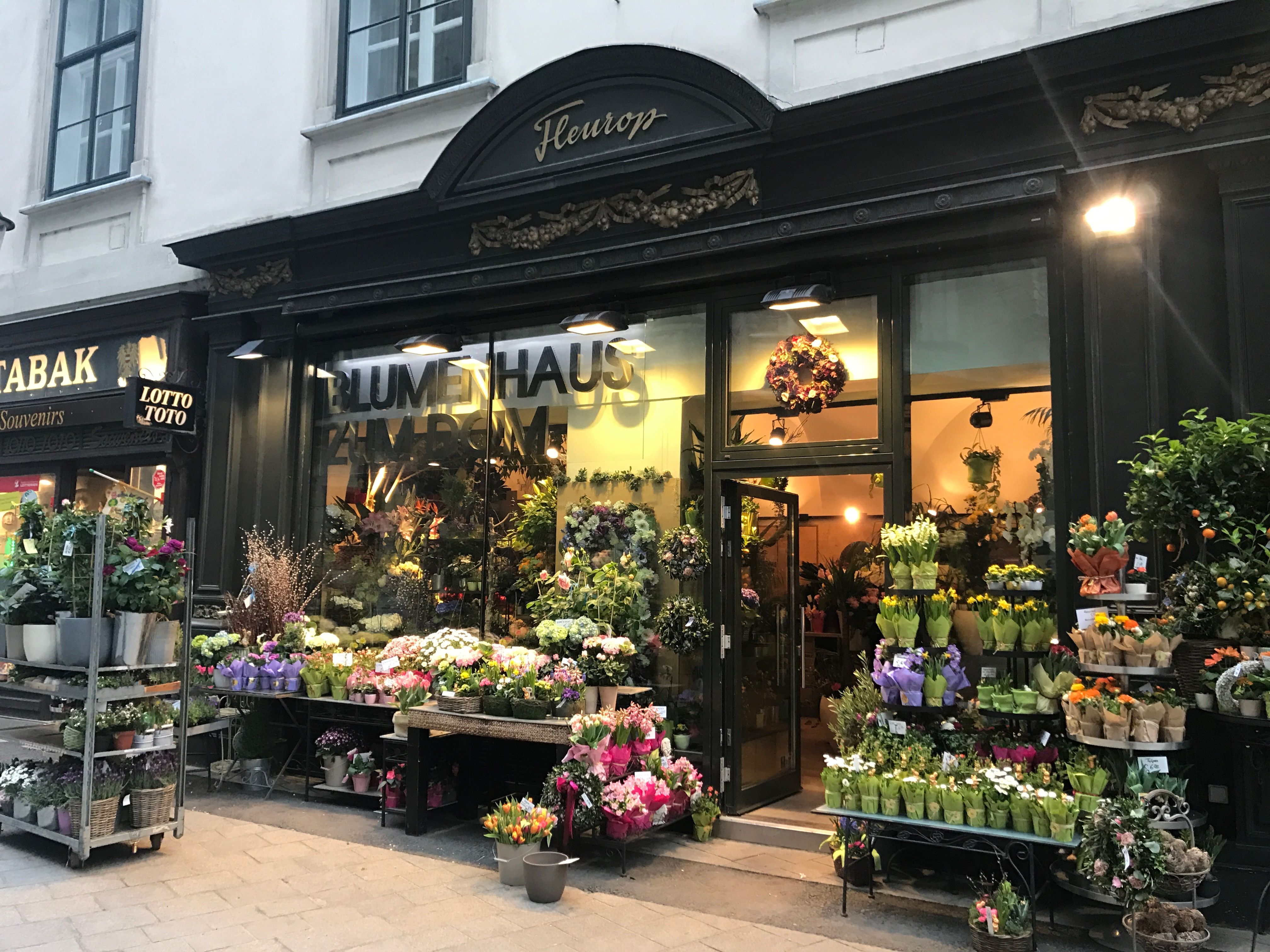 Blumenhaus zum Dom