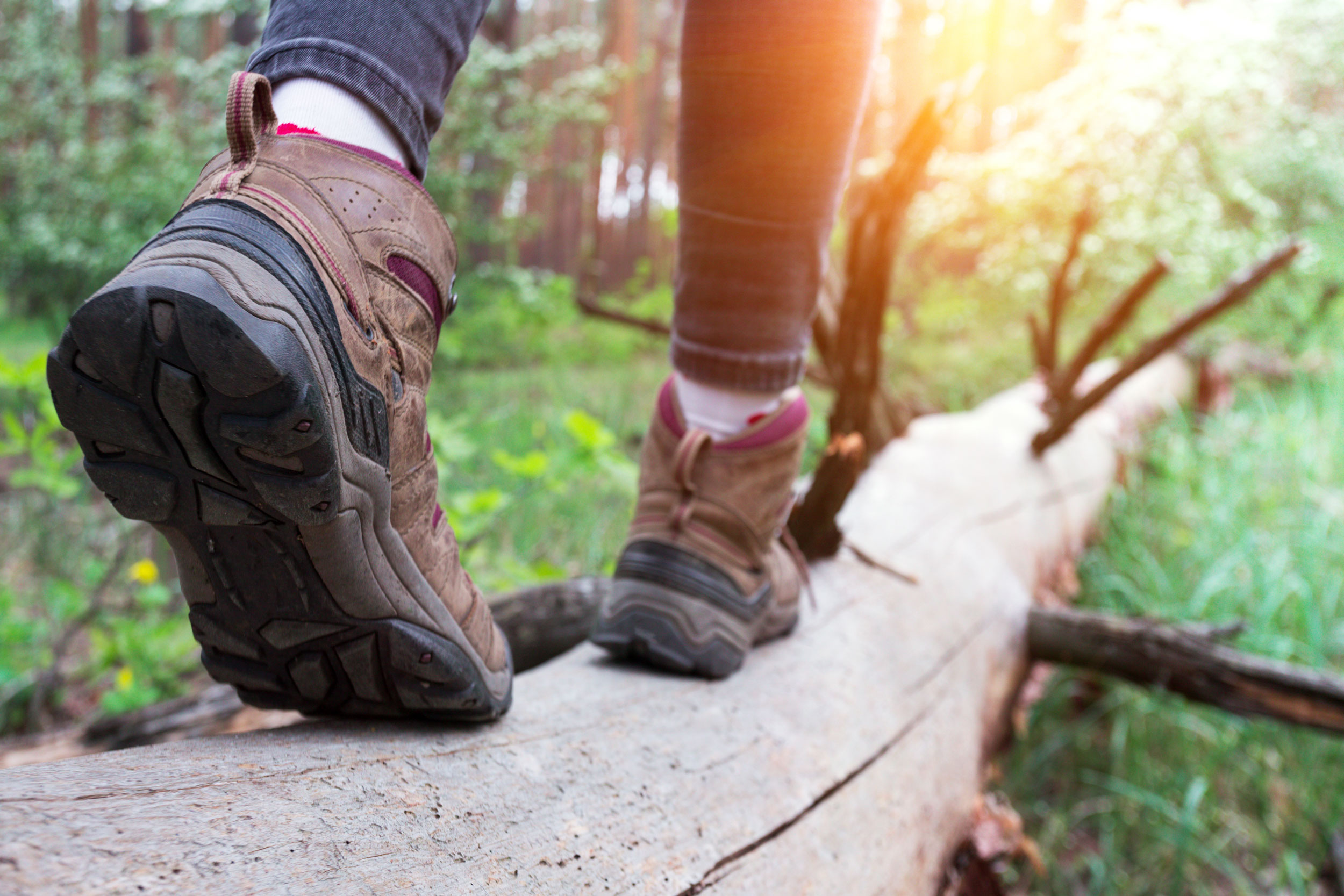 Guided hike into the sunset