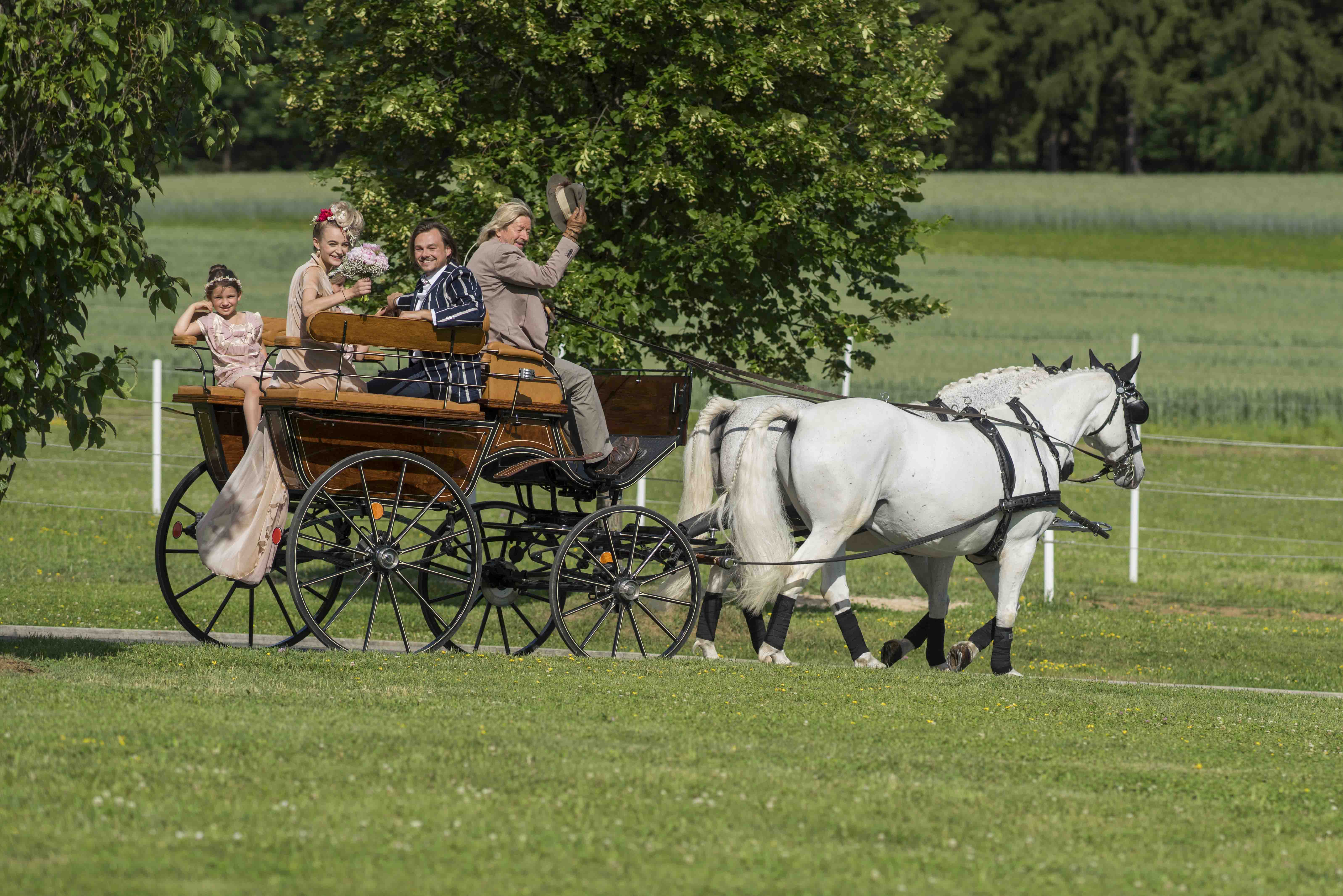 Romantic carriage ride in a Victorian carriage