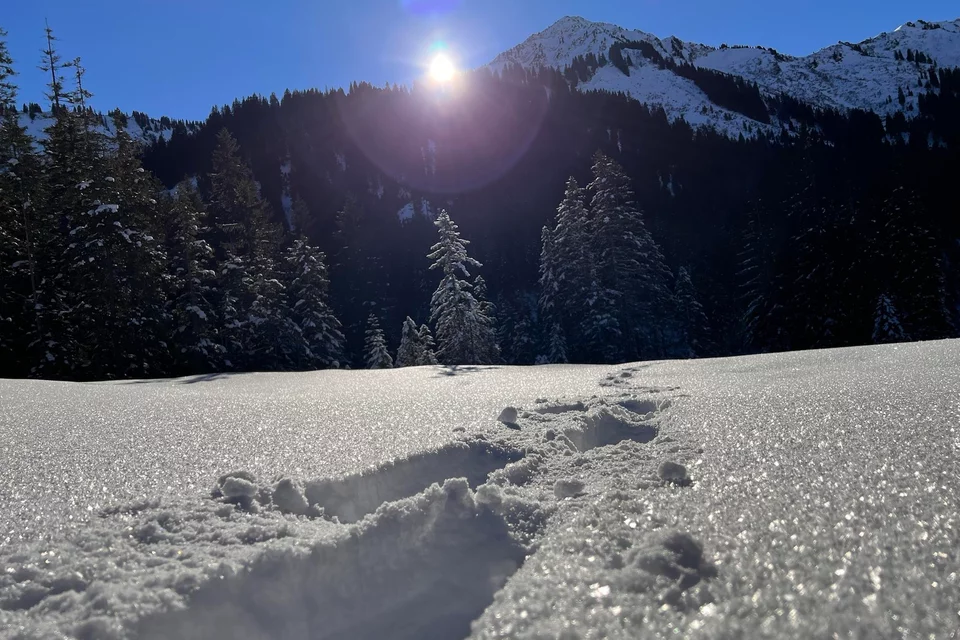 Schneeschuhtour ins Schwarzwasser