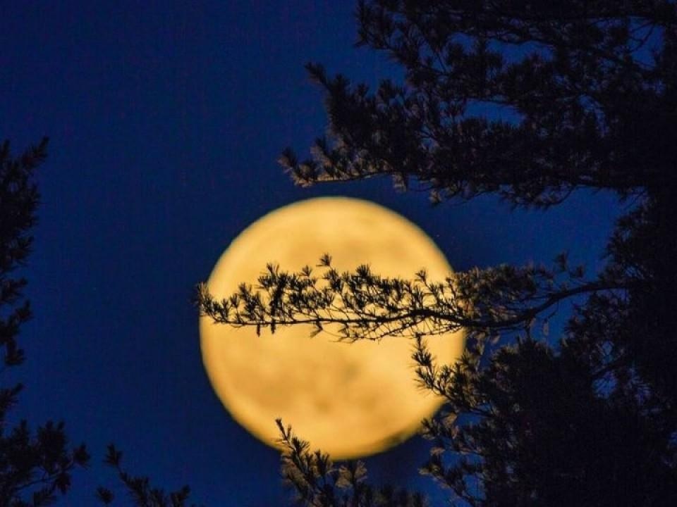 Full Moon Hike on the Hochgrat