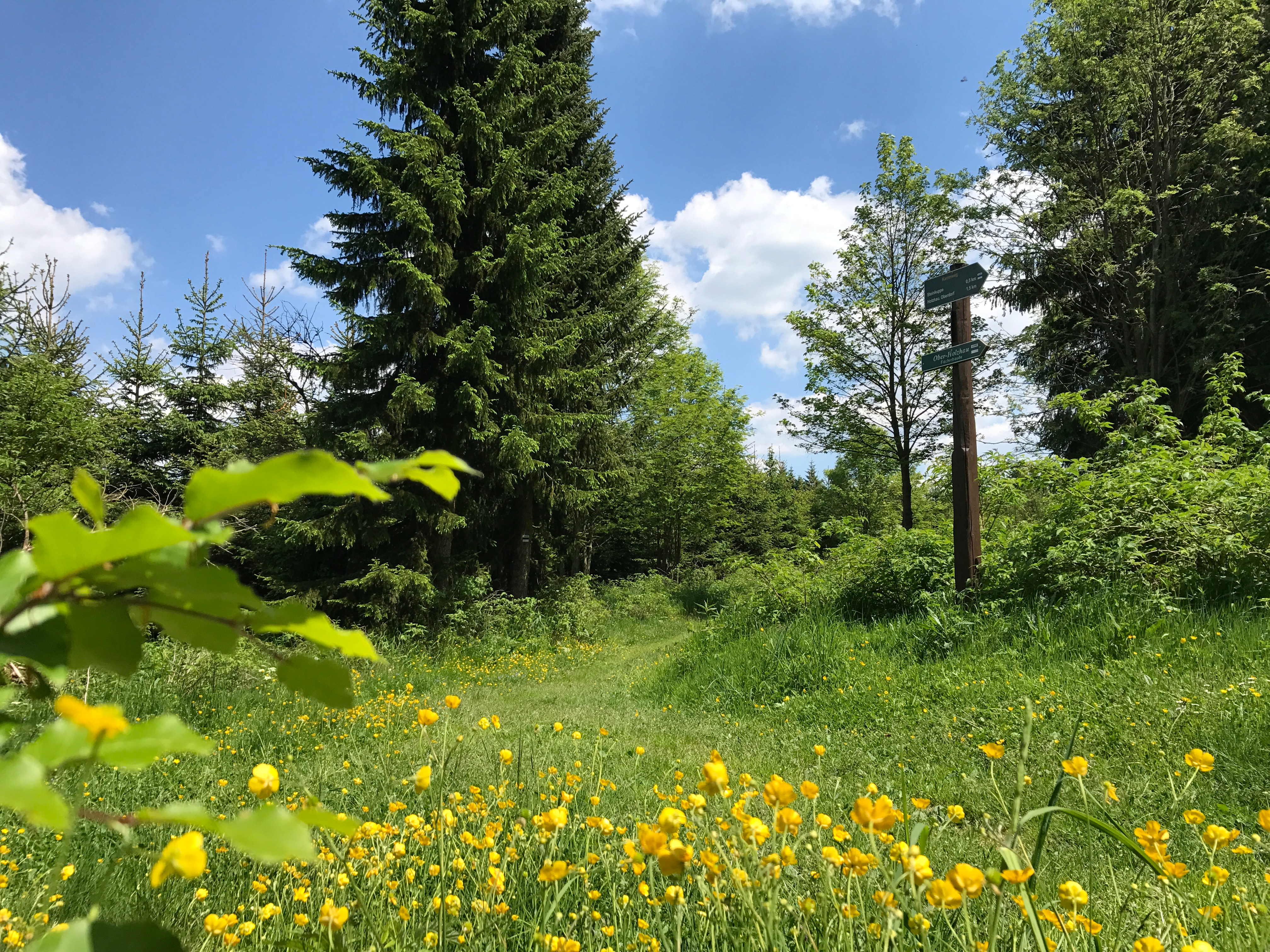 Summer Vacation Hiking Week in Altenberg | July 25, 2026 – August 2, 2026