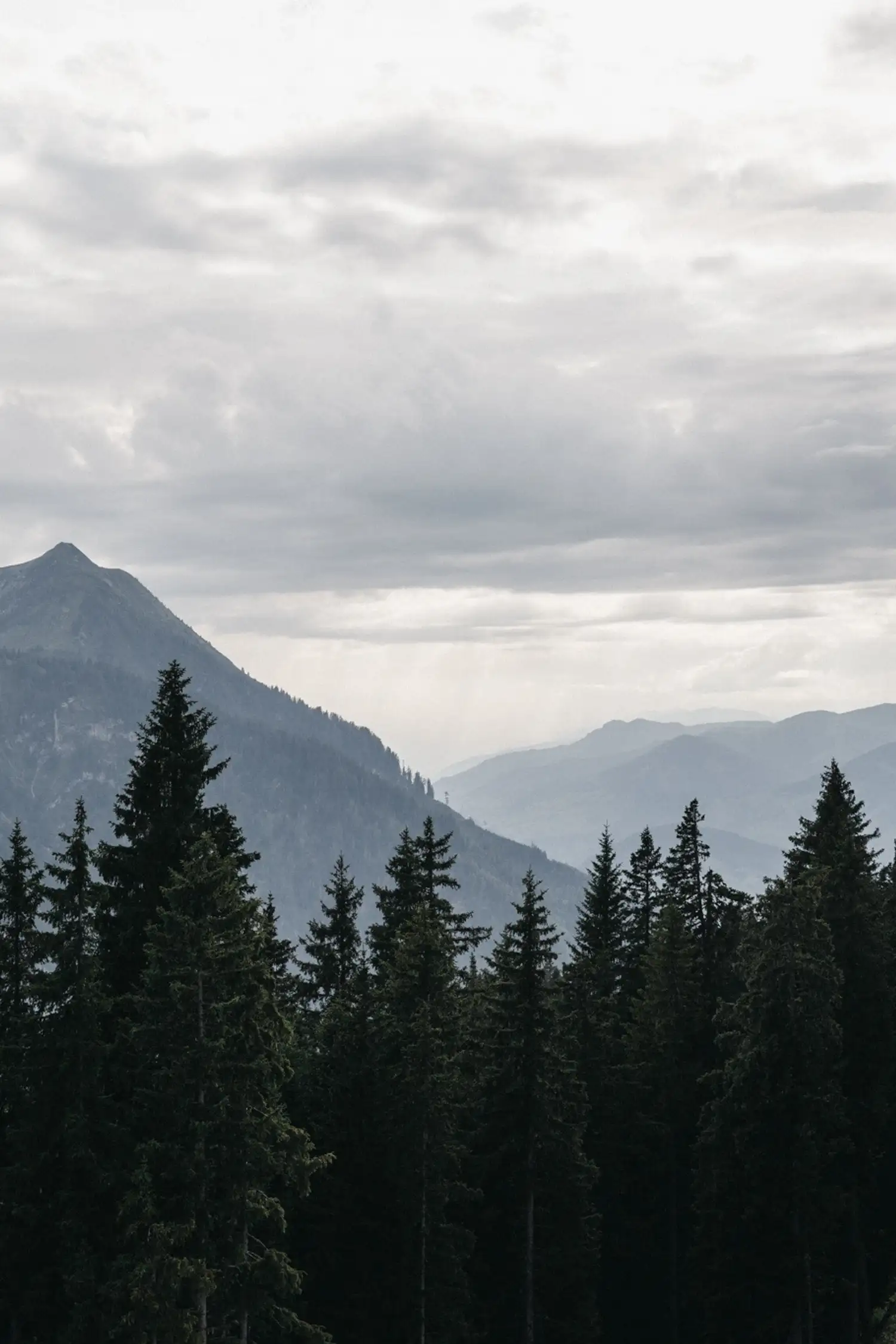 Children's Vacation Program | Forest Workshop