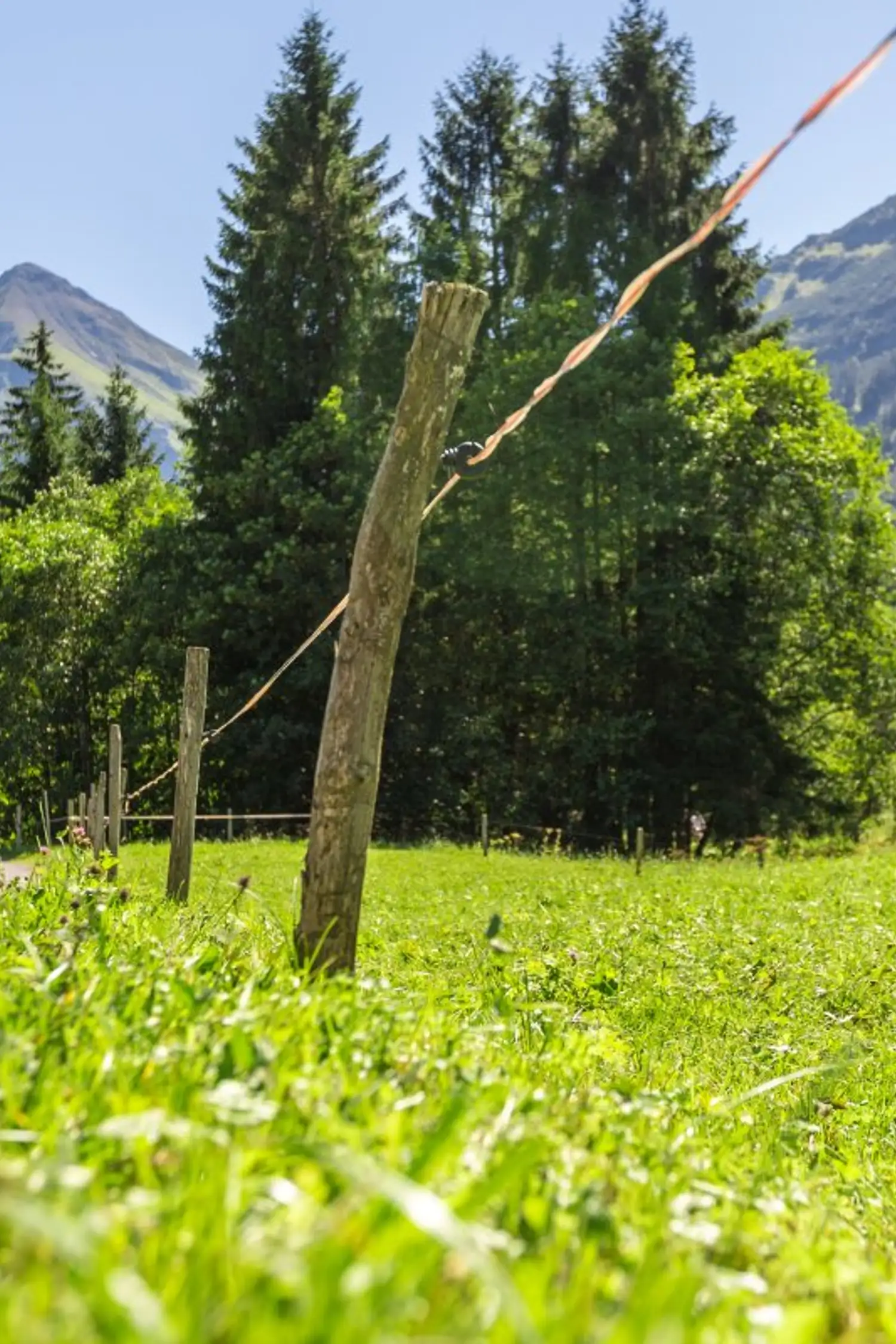 Obersdorf Family Tour