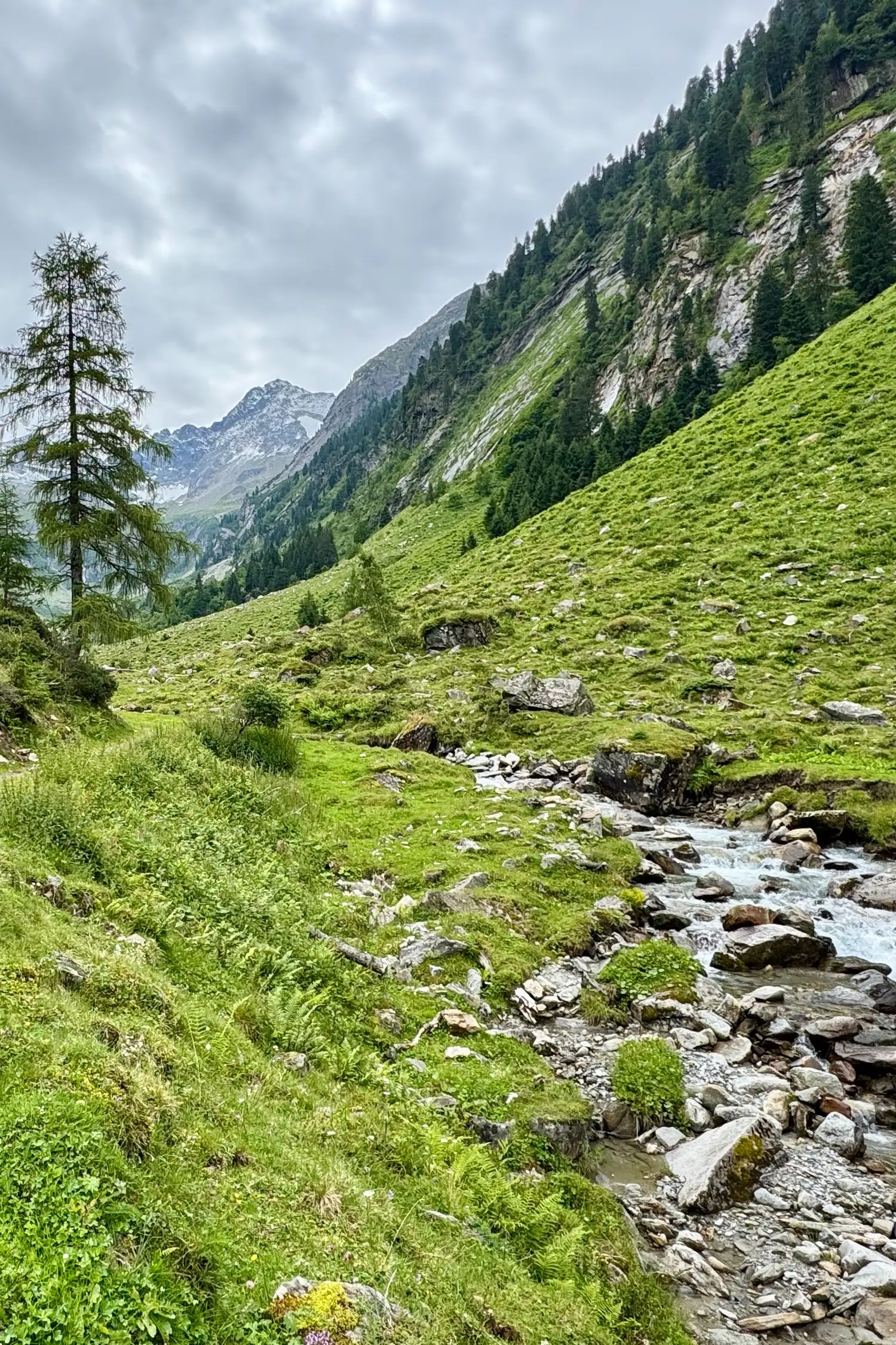 Maxhütte