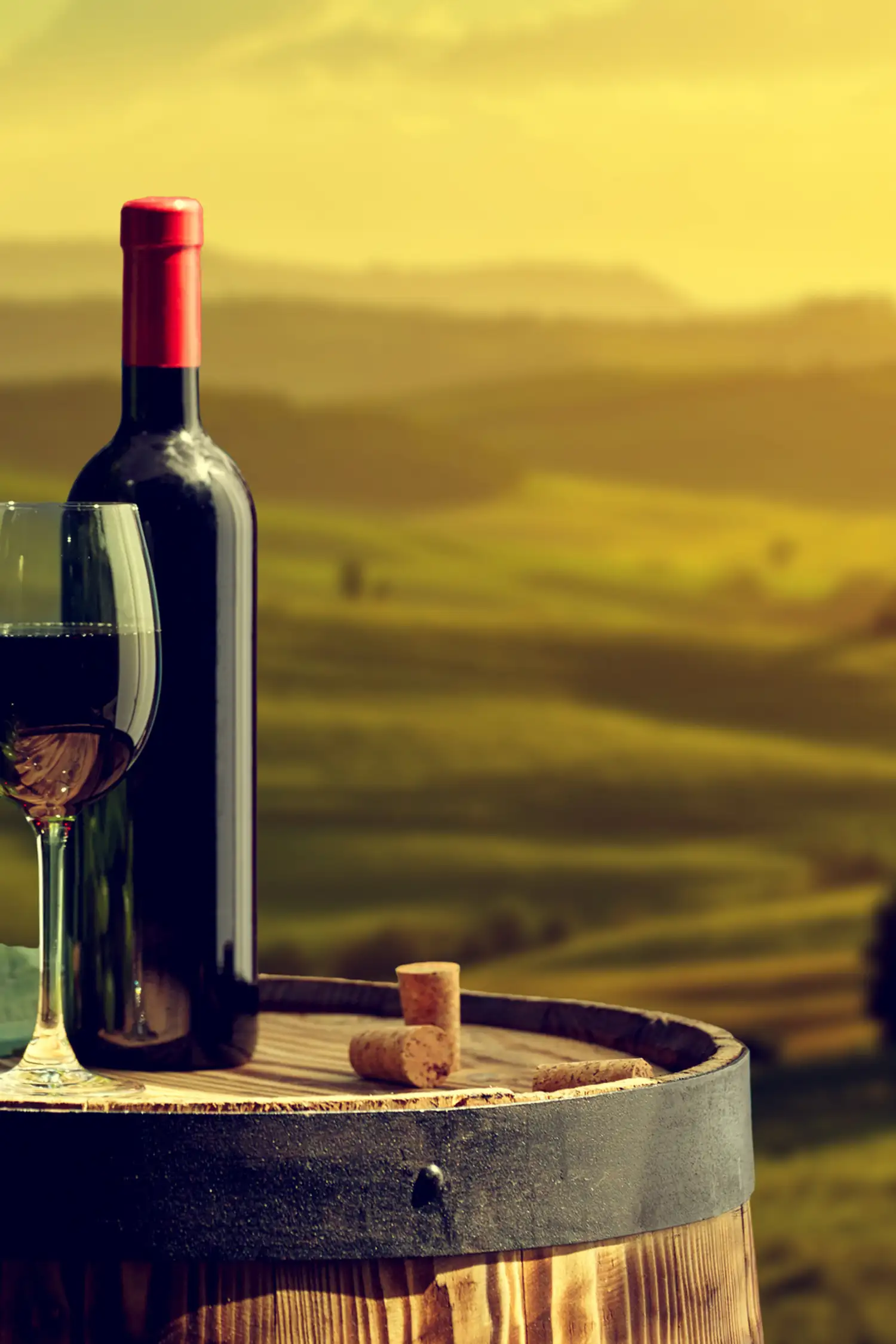 Fête du vin à l'hôtel Klausnerhof