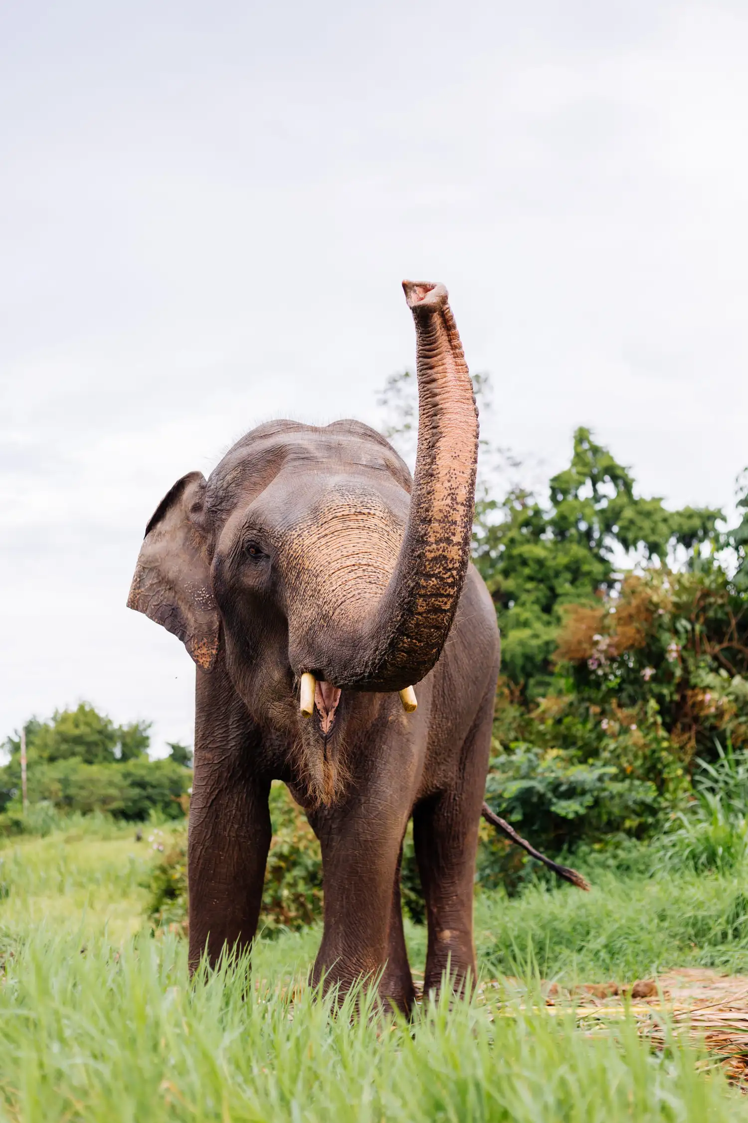 Wille Kinderzoo in Dürrwangen-Haslach