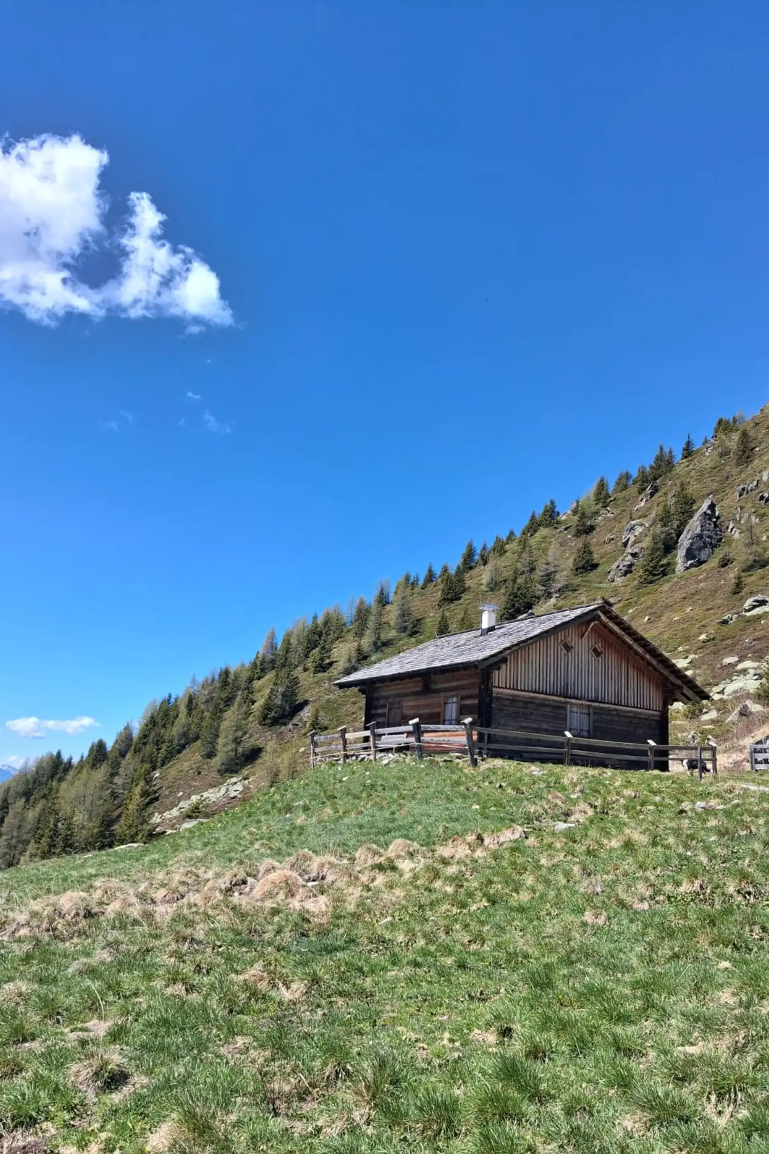 Hike | Grünbach hut*  