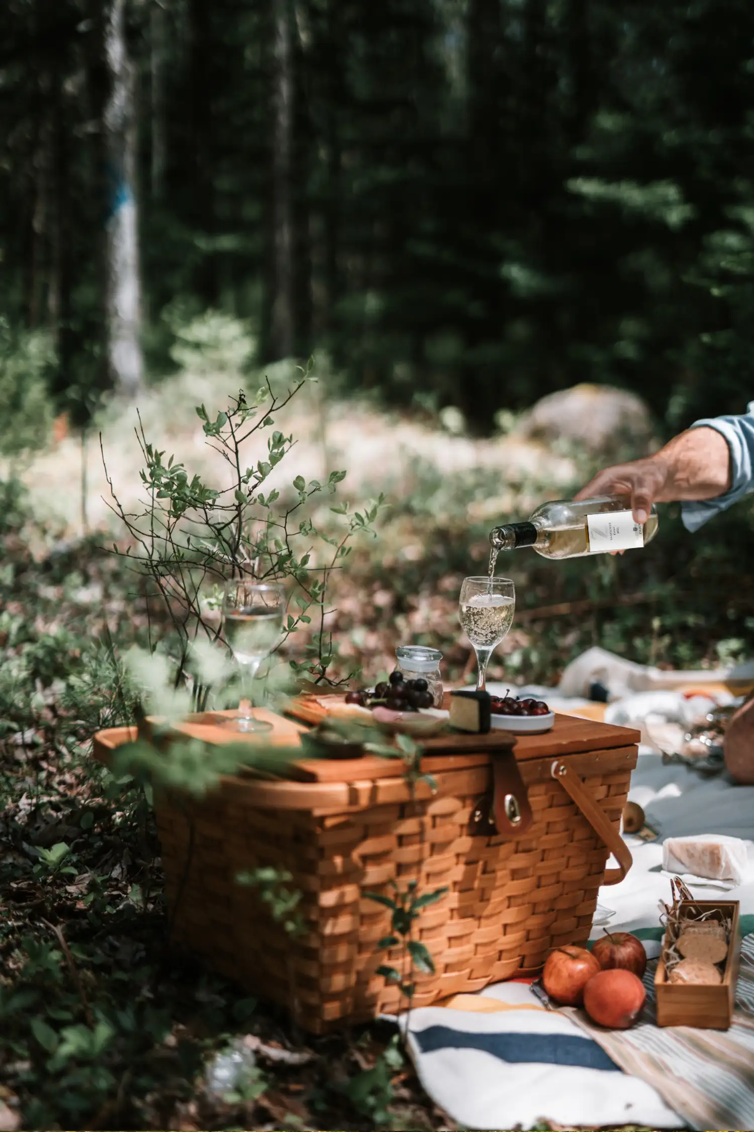 Picknick im Weinberg – Genussmomente in Kaatschen