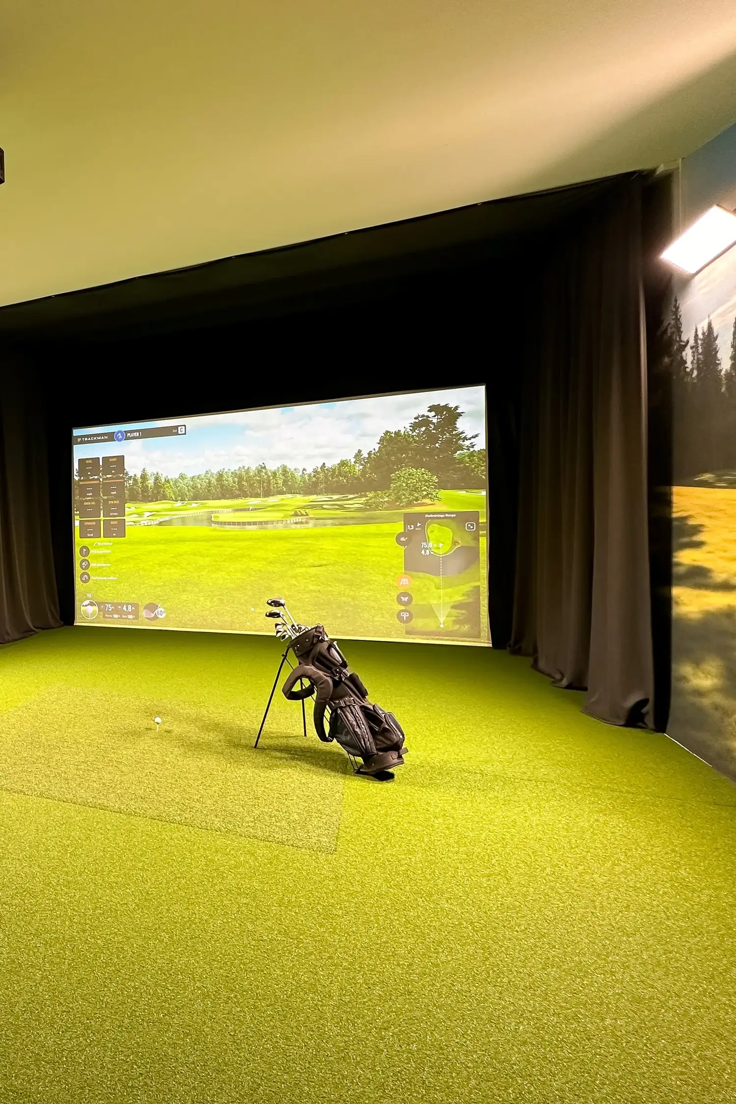 Indoor Golf