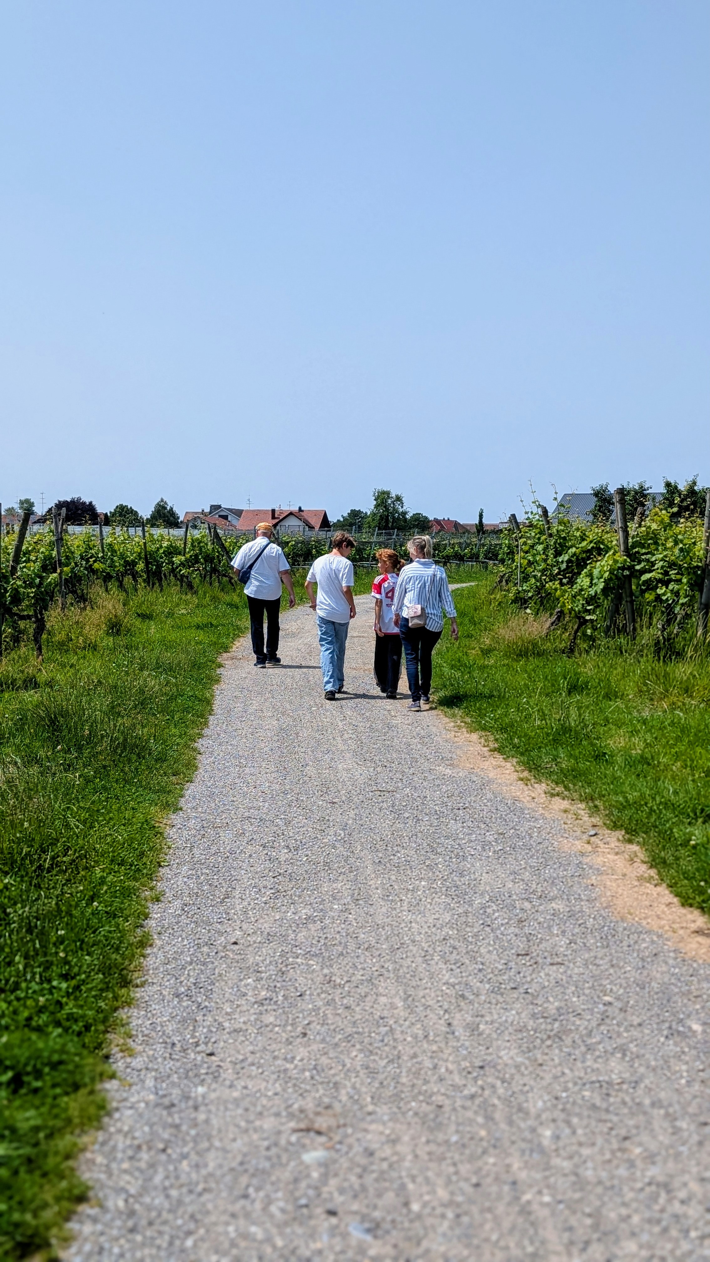Wandern rund um Wasserburg