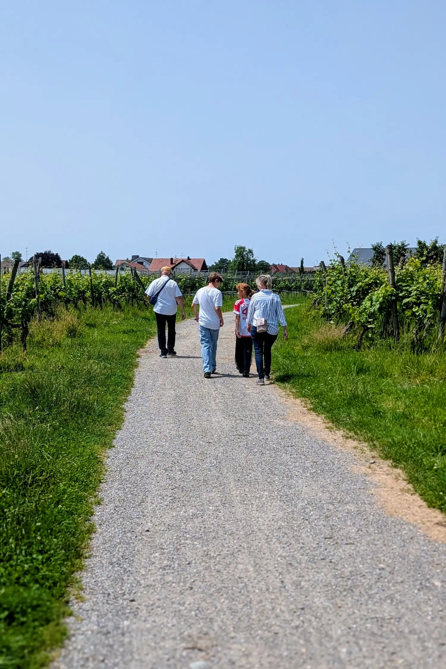 Wandern rund um Wasserburg