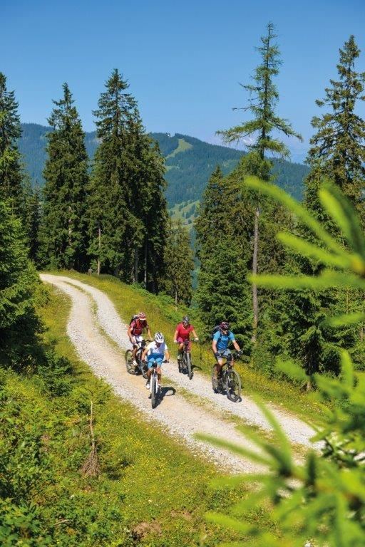 E-Bike Tour (Neu) Schwarzenbachtal Runde über Wastlhöhe zur Zapferlalm