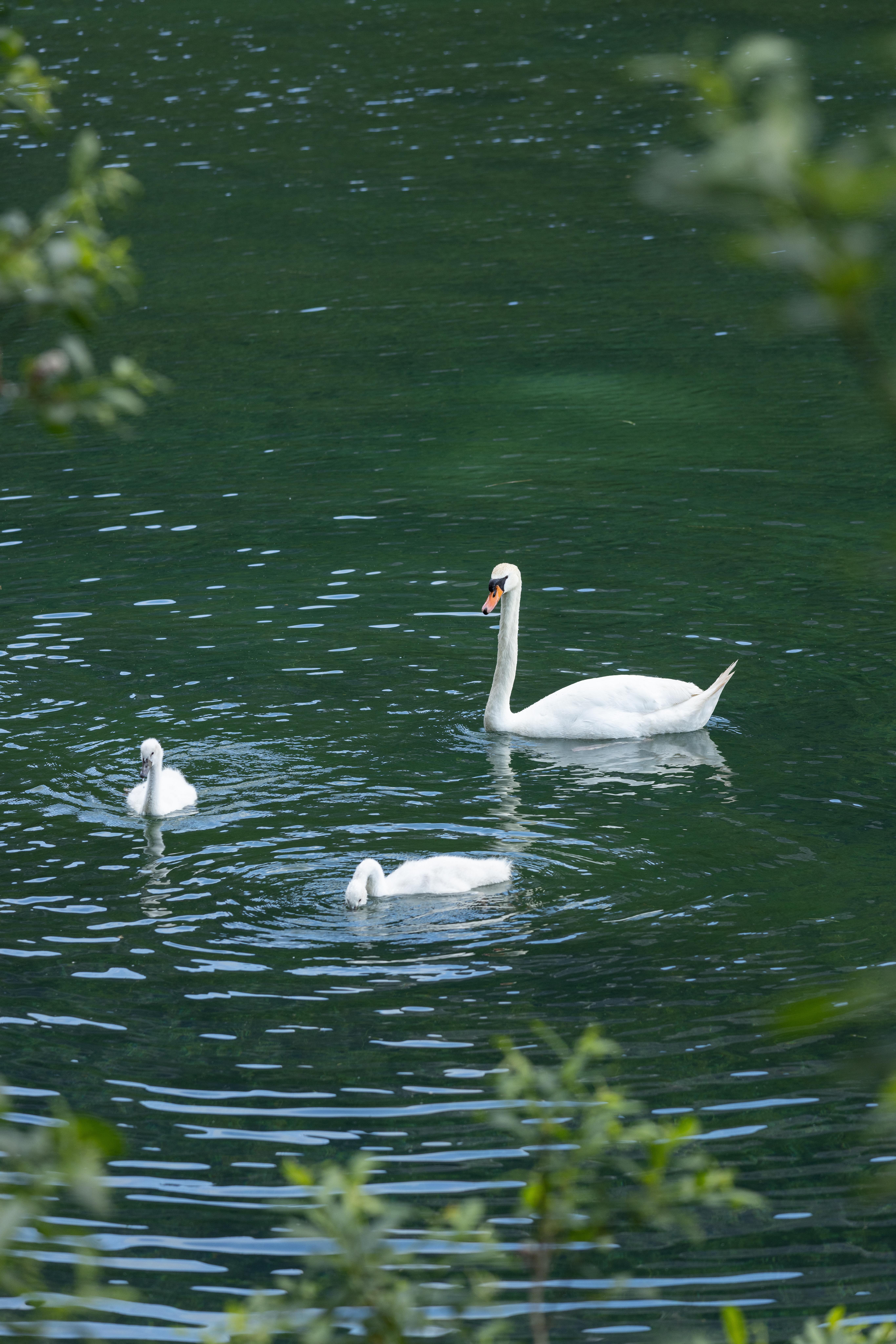Jägersee langsam – dein stiller Lieblingsweg