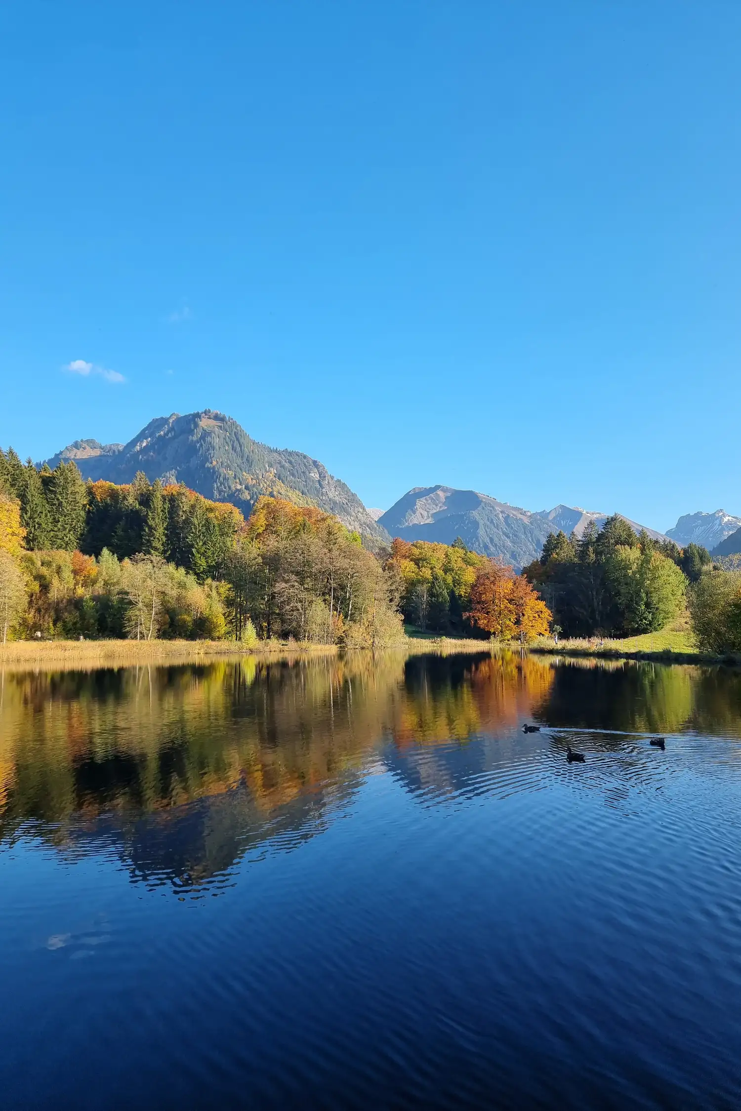 Achtsamkeitsspaziergang mit Anja 