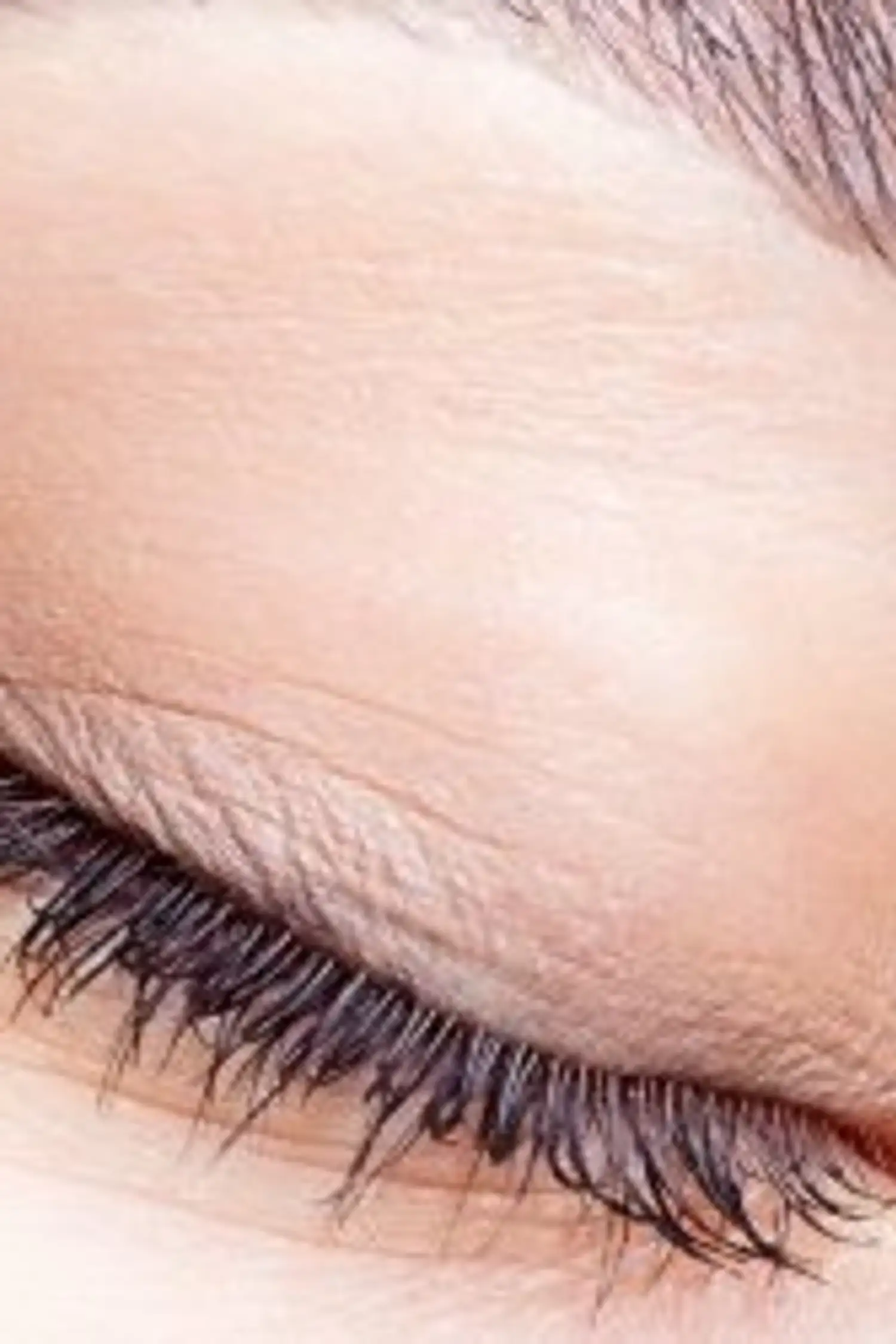 Brauen & Wimpern