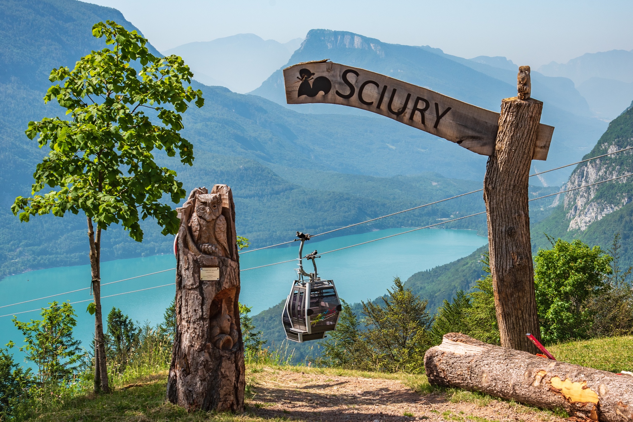 FREITAG: Die Welt von Sciury
