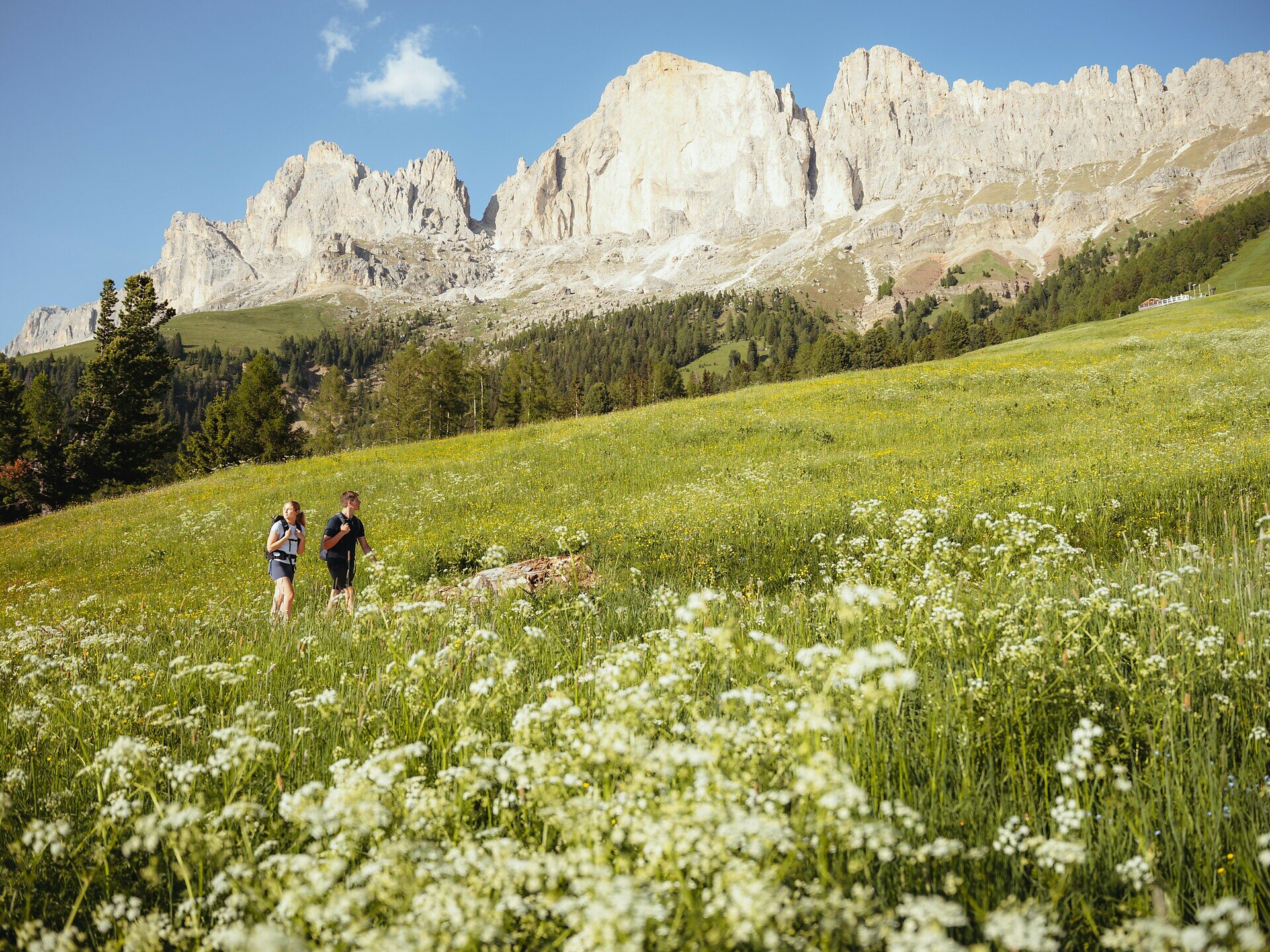 Hike via the Messnerjoch Alpine Hut to the Haniger Schwaige