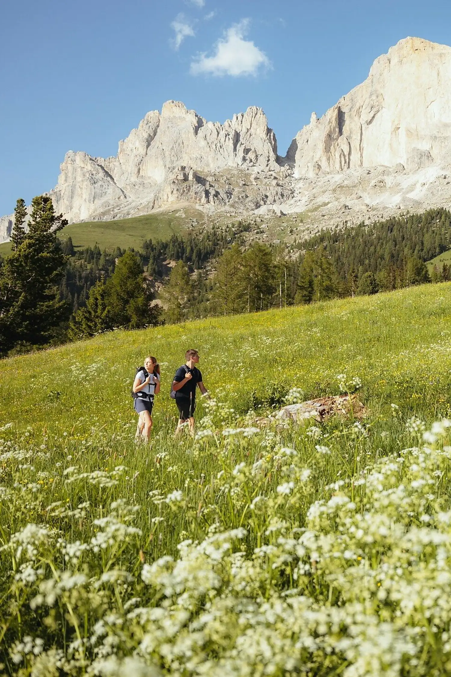 Hike via the Messnerjoch Alpine Hut to the Haniger Schwaige