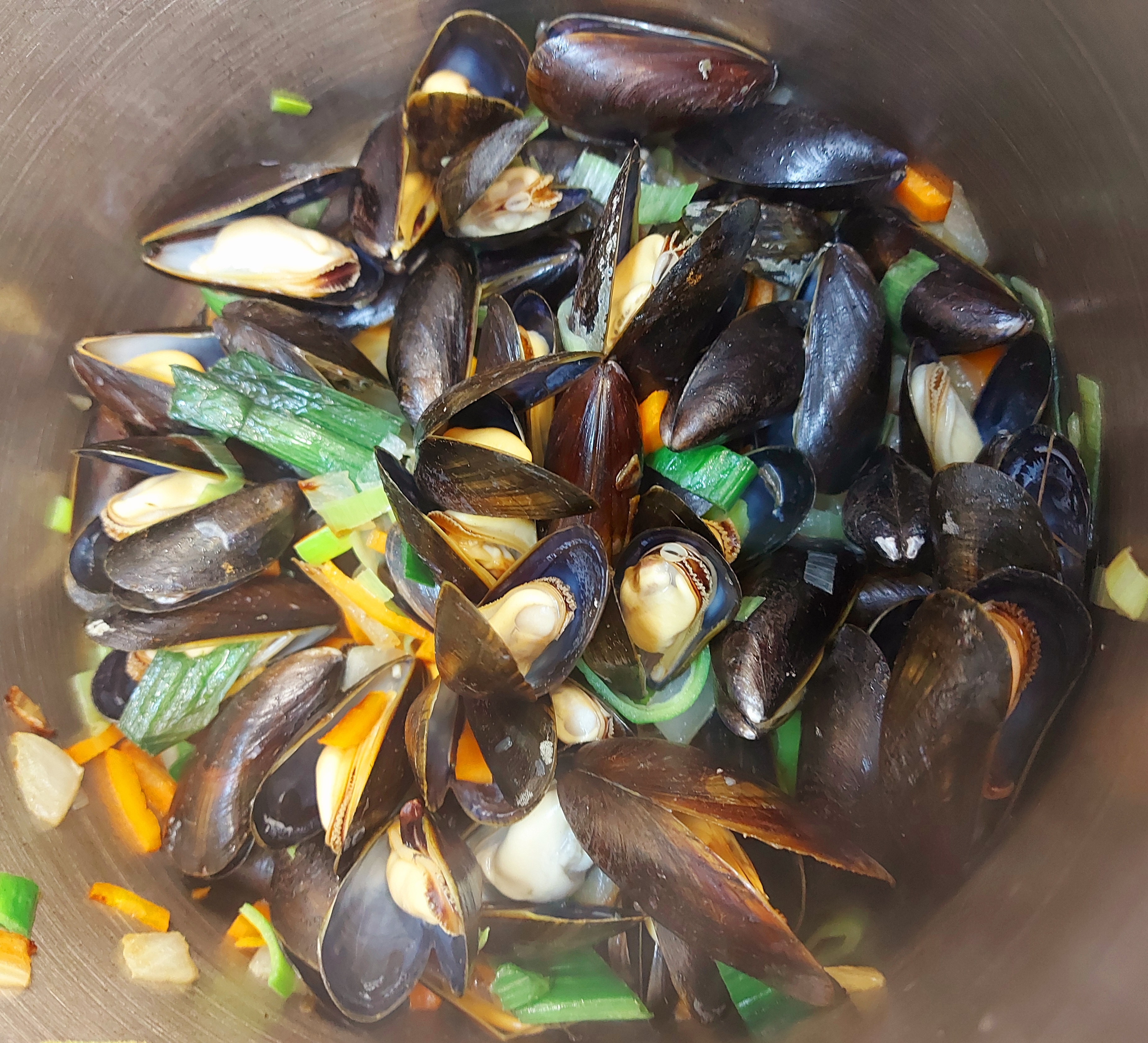 Die Muschelsaison  beginnt.....